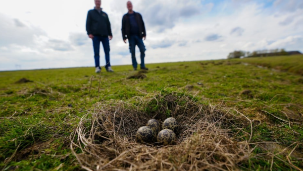 Het is frustrerend als ze alles opvreten
